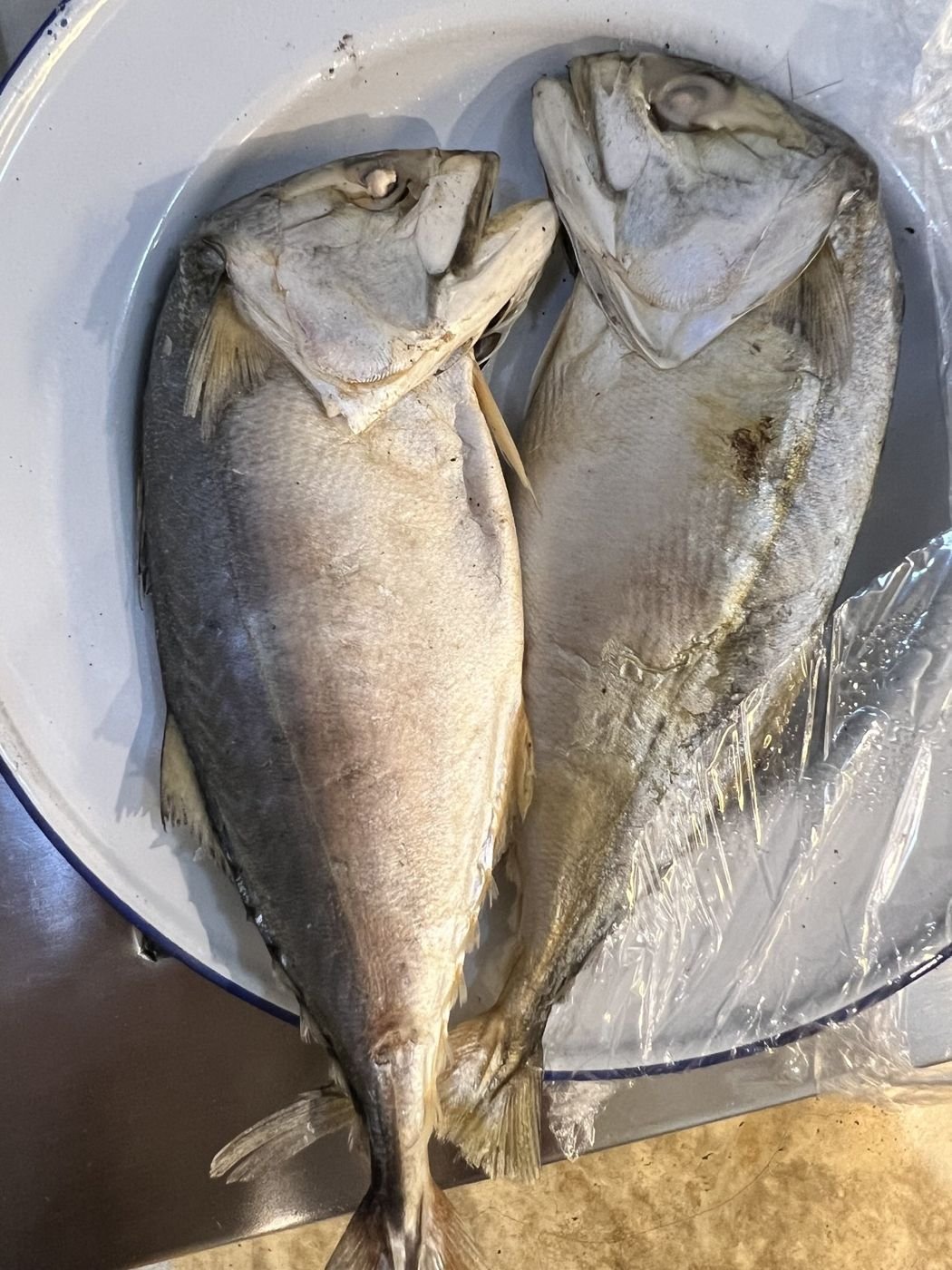 Two whole fish on a steel tray