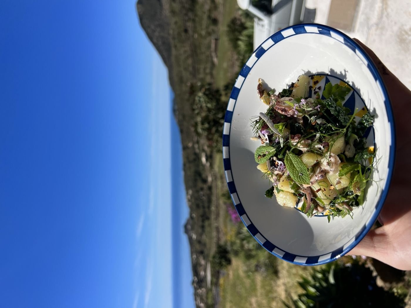 A finished plate, held up against the sea