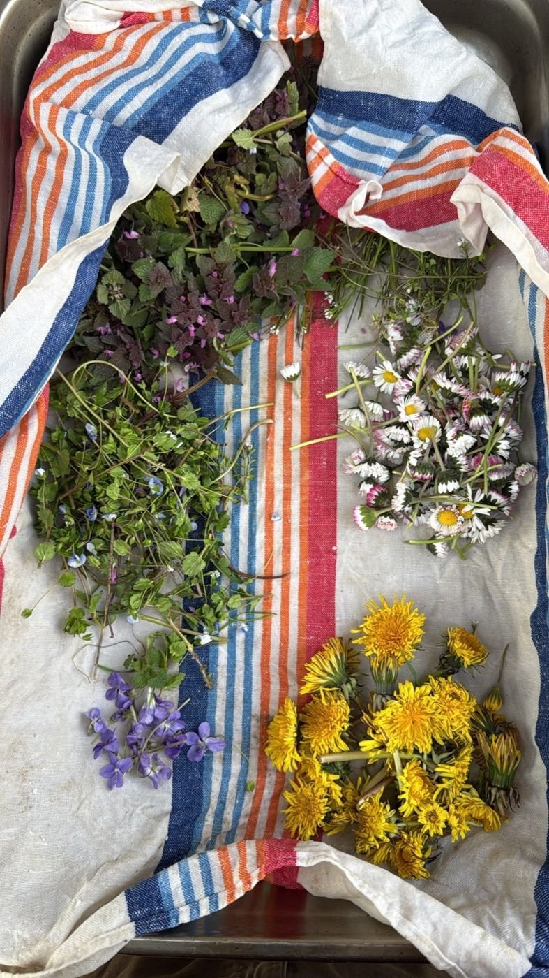 Edible flowers on a striped cloth