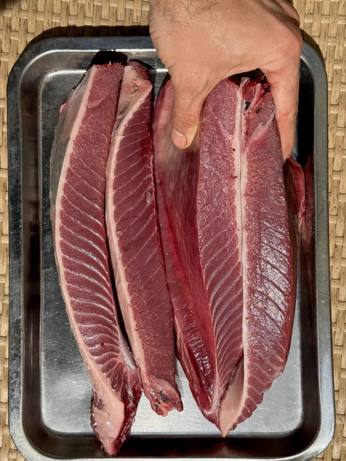 Two tuna loins on a steel tray