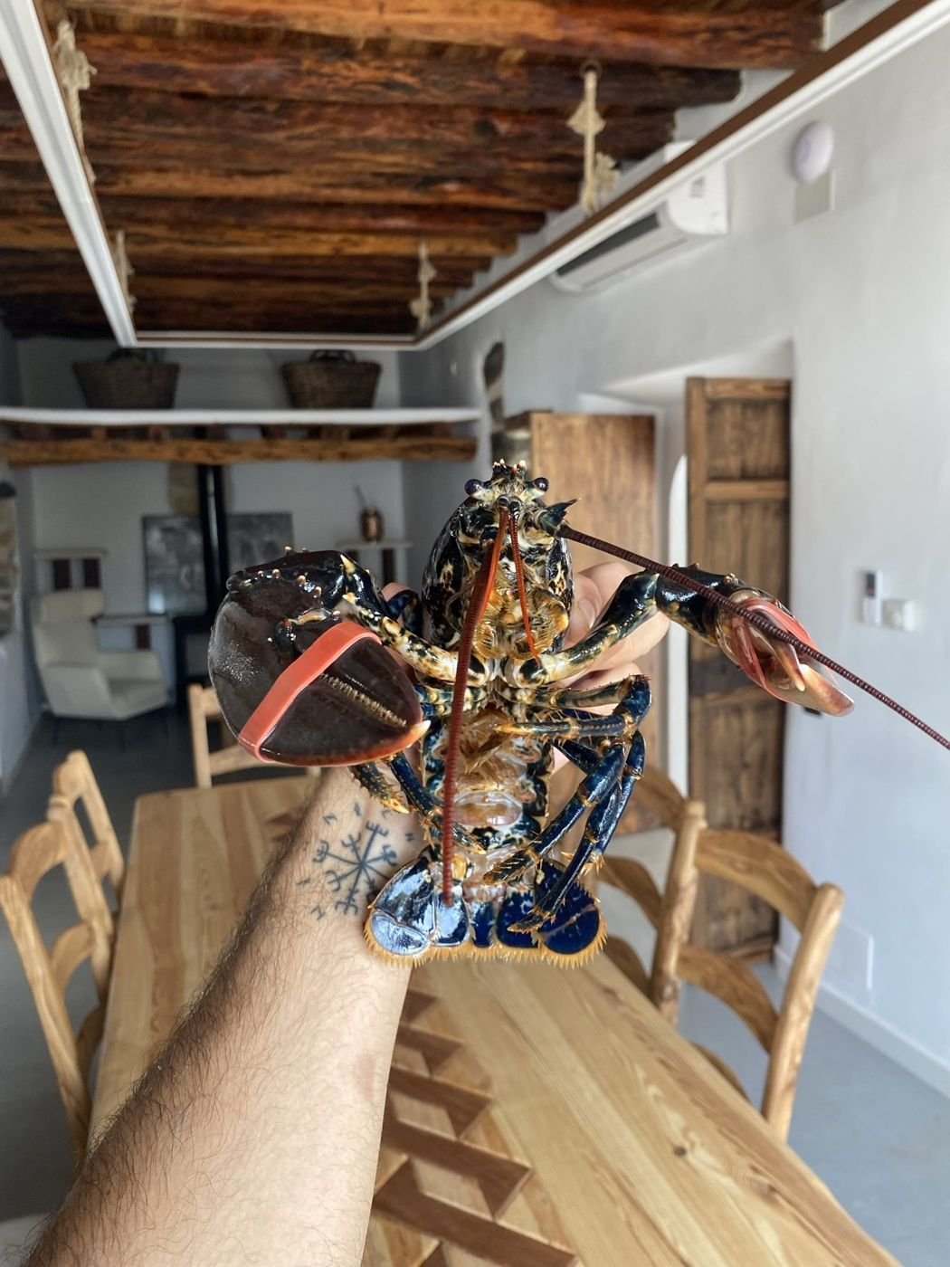 A live lobster held up in the kitchen