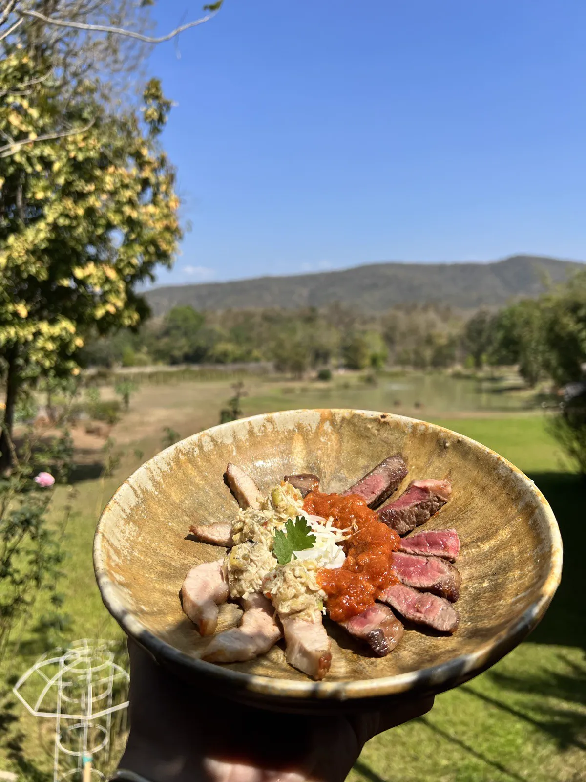 A finished plate against the hills